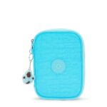 100 Pens Case