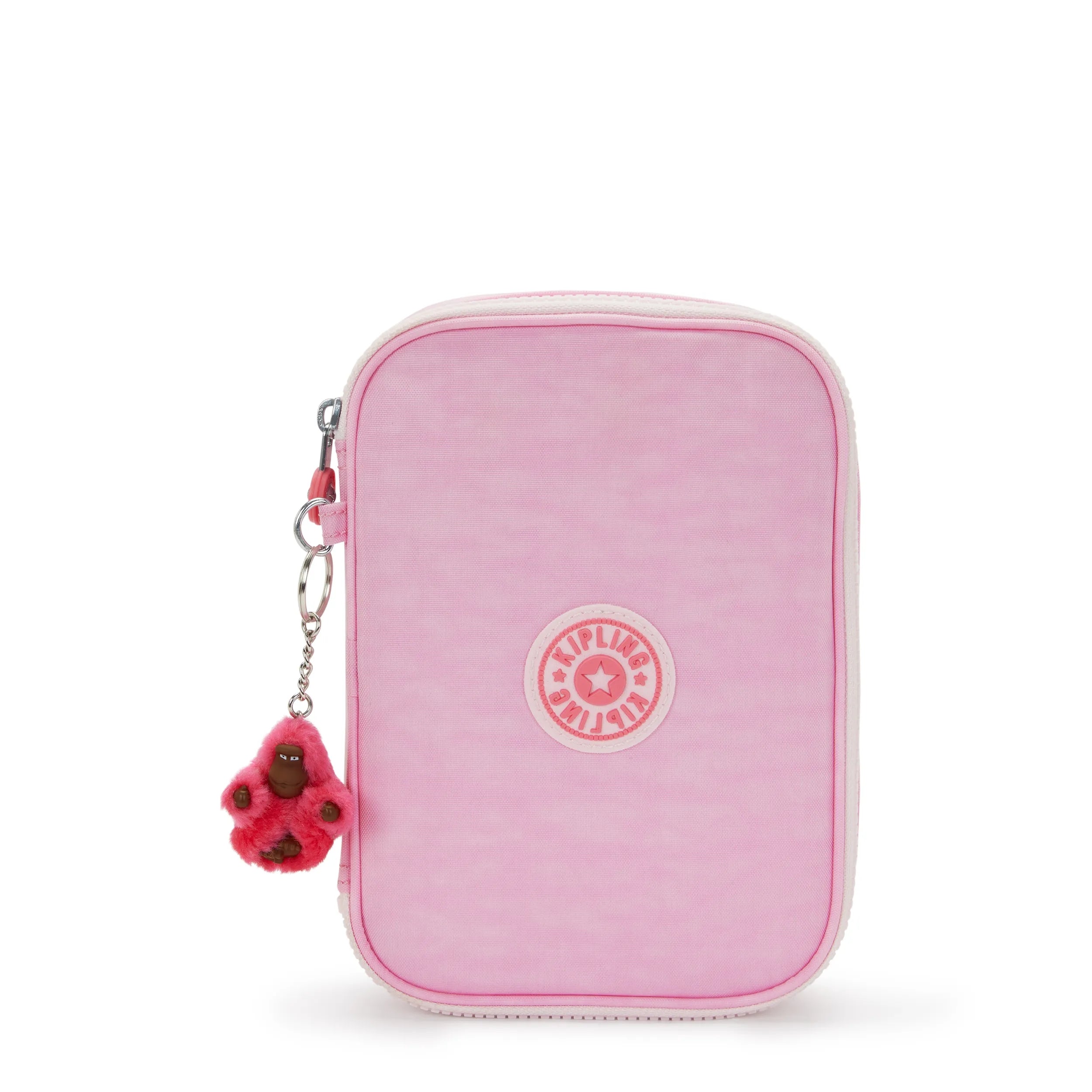 100 Pens Case