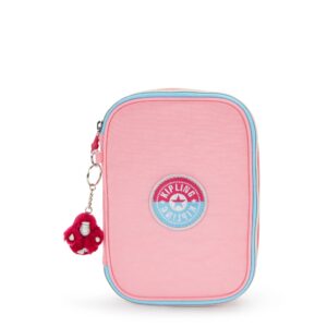 100 Pens Case
