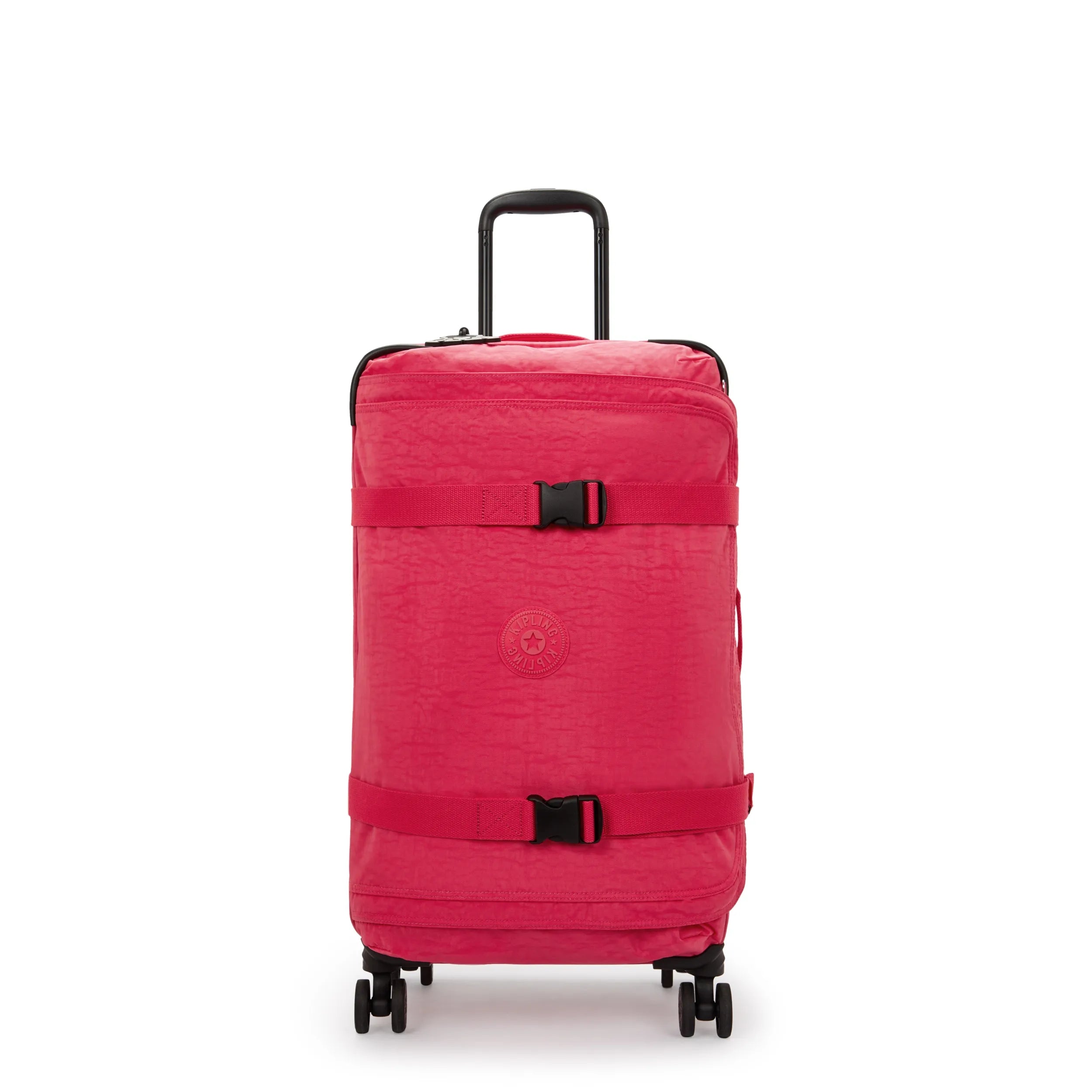 Spontaneous Medium Rolling Luggage